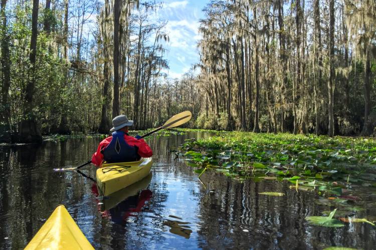 St Simons by Kayak Real Escapes Properties